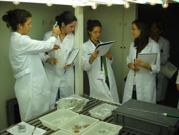 Jóvenes que participaron el año pasado en otro campus científico. Foto: Fecyt.