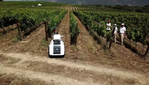 Un robot monitorea los viñedos. Foto: UPV.