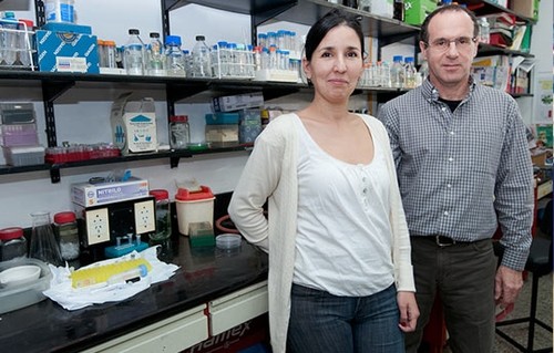 Los investigadores Leonardo Erijman y Eva Figuerola. Foto: CONICET fotografía.