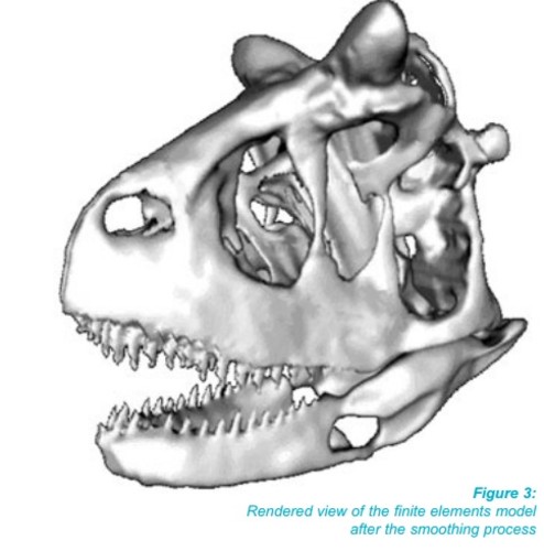 Estructura tridimensional del cráneo del Carnotauro. FOTO: UNL
