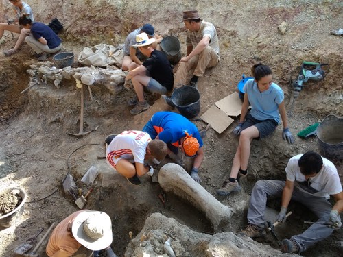 XV Campaña de Excavaciones Paleontológicas en yacimientos de restos fósiles de dinosaurios en la provincia de Burgos/CAS