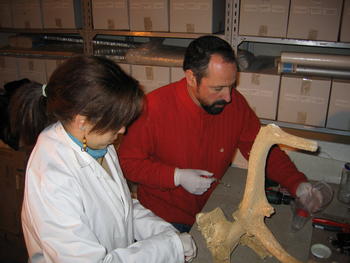 Dr.Carranzo Almansa y un miembro de su equipo explorando una cuerna.