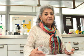 La académica del Departamento de Ingeniería Química de la U. de Santiago, Elsa Contreras (FOTO: USACH).