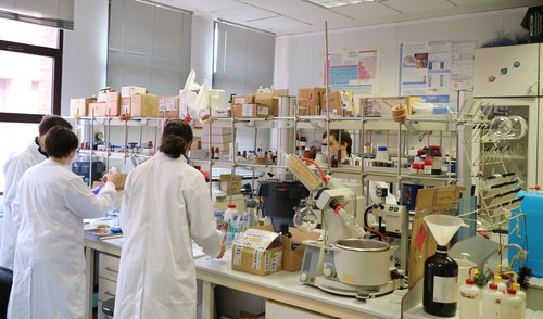 Investigadores del Departamento de Química de la Universidad de Burgos.