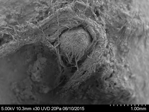 Imagen de la cuera neandertal hallada en Abri du Maras obtenida en microscopio electrónico - Crédito foto: M-H. Moncel.