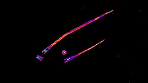 γTuRC (blanco) en la luz y los cilios asociados, extensiones que funcionan como la 
