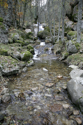 Un arroyo a su paso por el valle de Iruelas.