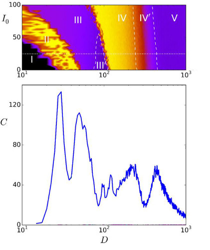 Distintas fases detectadas en la red neuronal y correlación C entre un estímulo y la respuesta del sistema en presencia de un nivel de “ruido” D. Imagen: UGR.