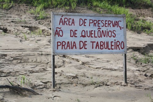 Acción local para conservar a las tortugas en la Amazonia/UEA
