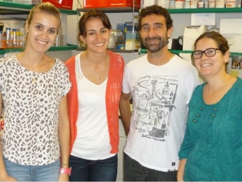Los investigadores Taiane Schneider, Mònica Cubillos-Rojas, José Luis Rosa y Susana Sánchez.