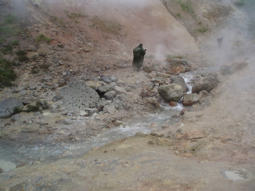 Experimentos en manantiales volcánicos de la península de Kamchatka, Rusia. / Nikolay A. Cherny.
