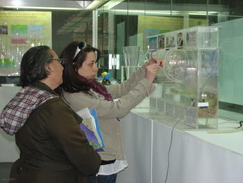 Una visitante se interesa por los instrumentos que expone el CIDTA.