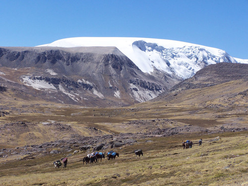 El glaciar Quelccaya, en los Andes peruanos / Paolo Gabrielli.
