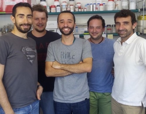 De izquierda a derecha, los expertos Arturo Martínez, Leonardo Pedrazza, Joan Sala, Jesús García y José Luis Rosa.
