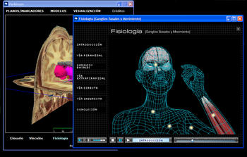 Visor anatómico de párkinson. Imagen: Juan A. Juanes.
