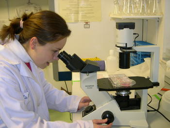 Un laboratorio de biología en la Universidad SEK.