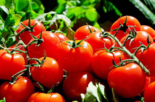 Tomates. Foto: F. Descubre.
