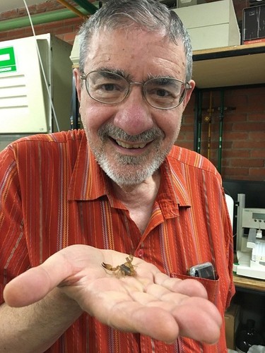 Profesor de química Richard Zare de la Universidad de Stanford, quien sostiene un ejemplar del alacrán. Imagen: Universidad de Stanford