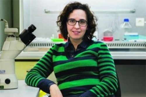 Licenciada em Bioquímica pela Faculdade de Ciências da U.Porto, Sónia Melo é investigadora principal do Ipatimup desde 2014. FOTO: DR