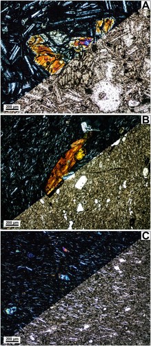 Fotomicrografía representativa de los flujos de lava de El Negrillar, todas con distinta composición química.