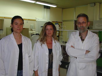 El director del Instituto de Biomedicina de la Universidad de León, Javier González-Gallego, junto a las dos participantes leonesas en el estudio, Sonia Sánchez Campos y María Victoria García Mediavilla (izq.).