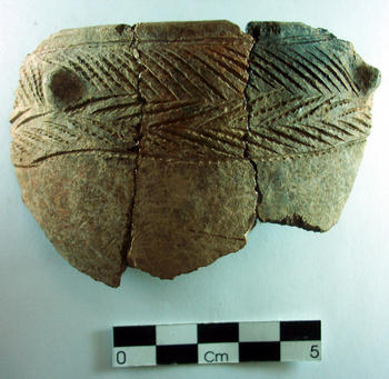 Ejemplo de las cerámicas encontradas