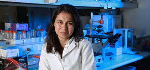 La académica de la Facultad de Ciencias Biológicas de la UC Susan Bueno participó en esta investigación publicada en la revista Plos Pathogens. FOTO: UC