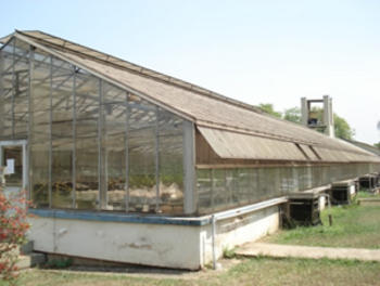 Estación donde se llevó a cabo el trabajo sobre absorción de nitrógeno amoniacal por plantas de papa (FOTO: IDIAF).