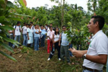 INIAP entrega cinco clones de cacao en la Amazonía (FOTO: INIAP).