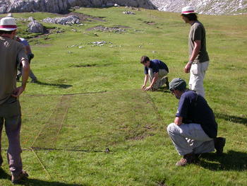 Voluntarios del Grupo Ibérico de Anillamiento preparando uno de los sistemas de captura
