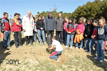 Plantación con motivo del Día Internacional del Árbol en Las Contiendas.