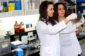 Investigadores del Instituto Leloir y la Universidad de Buenos Aires descubren un proceso clave en cáncer (FOTO: Conicet).