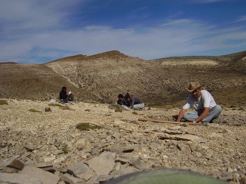 Investigadores aportan resultados inéditos en estudios de referencia a nivel nacional e internacional sobre la magnitud de eventos paleontológicos y geológicos en América del sur. FOTO: Argentina Investiga.