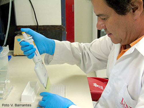 Carlos Jiménez, virólogo de la Escuela de Medicina Veterinaria de la UNA. FOTO: UNA