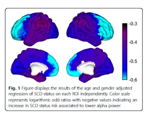 Resultados del análisis de regresión de las áreas cerebrales sobre el estatus cognitivo (DCS vs control). Cuanto más azul, más alto el riesgo asociado con una baja potencia en la onda alfa con el deterioro cognitivo subjetivo.