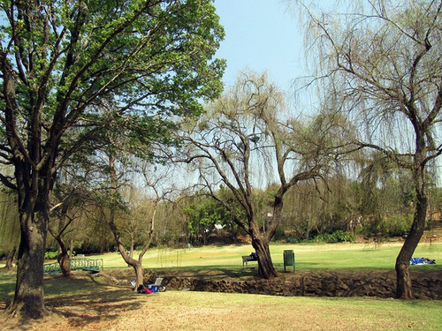 Un parque en Pretoria, Sudáfrica. / Thulani P. Makhalanyane.