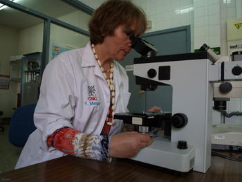 La parasitóloga Yolanda Manga, en un laboratorio del Instituto de Ganadería de Montaña.