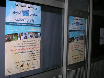 Carteles preventivos sobre la gripe aviar en un aeropuerto de Argelia