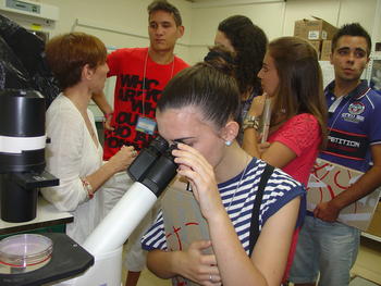 Una estudiante mira por el microscopio.