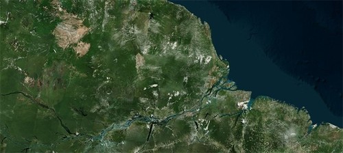 Amazonia/Bing Maps