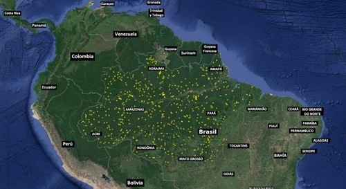 Distribución de los sobrevuelos de escaneo con láser sobre la región amazónica brasileña. Cada línea de vuelo tiene alrededor de 12 x 0.5 km; imagen: Ricardo Dal’Agnol/Inpe