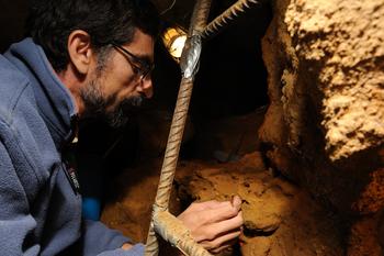 Antonio Rosas examina fósiles del yacimiento.