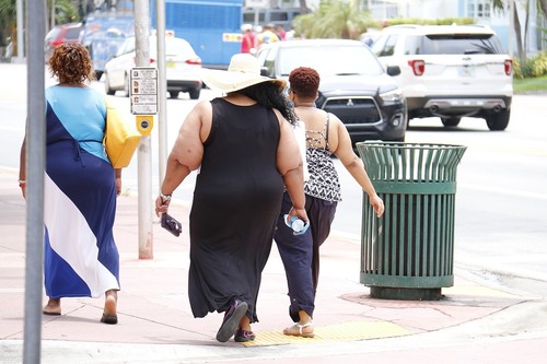 Obesidad. Foto: UGR.