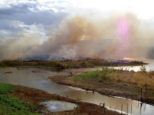 Incendio en el Amazonas/Wikipedia