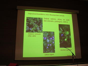 Una de las diapositivas presentadas por B.Herrero Villacorta.