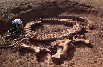 Excavación del dinosaurio saurópodo 'Spinophorosaurus' en el Jurásico Medio (160 millones de años) de Agadez (Níger) en el contexto del proyecto 'Paleontología para el desarrollo' (Paldes).