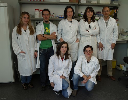 Juan Carlos Arévalo, arriba a la derecha, y su grupo de investigación en el laboratorio del INCYL.