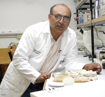 El entomólogo Agustín Aragón desarrolla control biológico para regular las plagas de la hormiga arriera