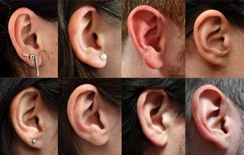 Científicos argentinos participaron del estudio que identificó los marcadores genéticos que determinan el aspecto del pabellón auditivo. FOTO: CONICET