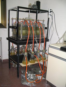 Fermentadores Rusitec empleados en la Universidad de León para la simulación de los procesos del rumen en ovino.